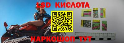 крисы Бийск
