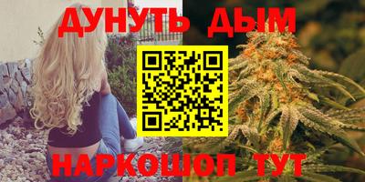 крисы Бийск