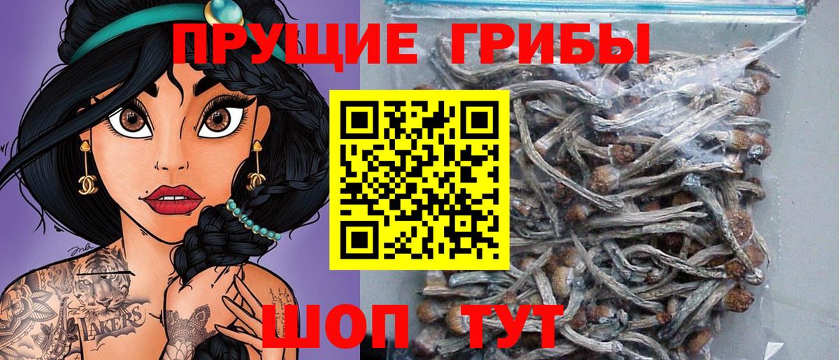 Галлюциногенные грибы GOLDEN TEACHER Барнаул